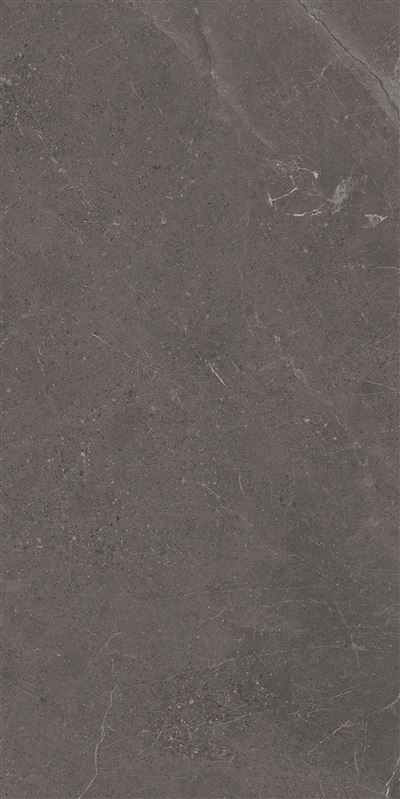 Meteorite Tile Grey 60x120