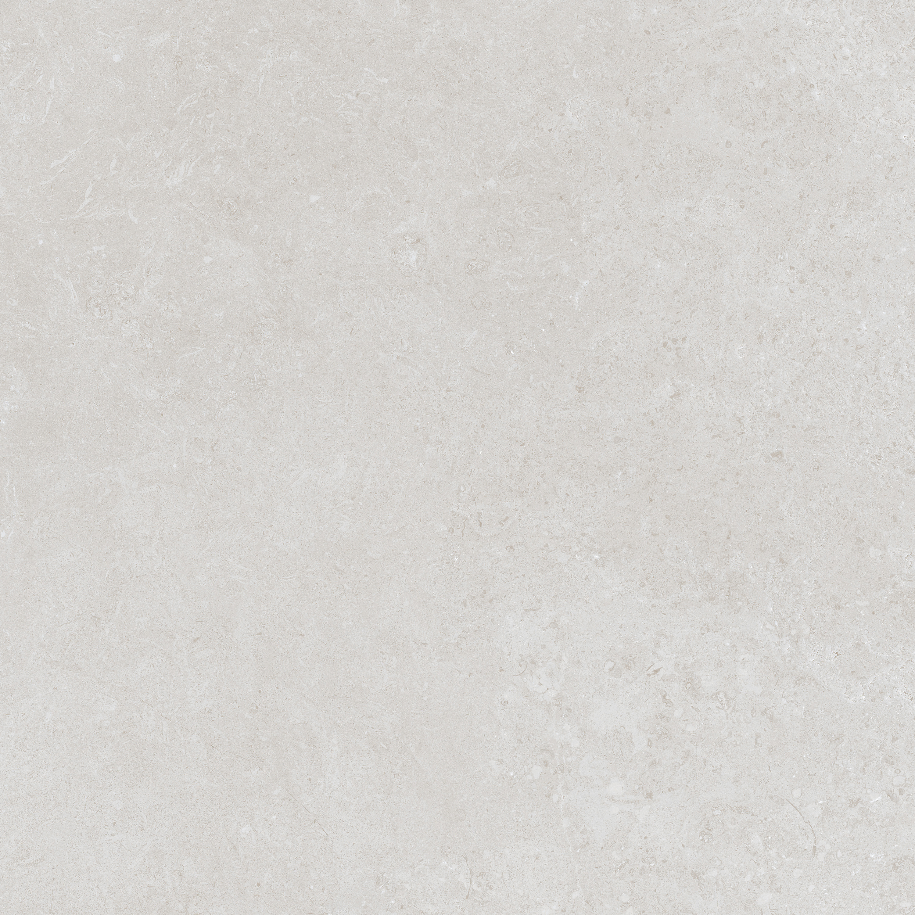 Batela Bianco 100x100